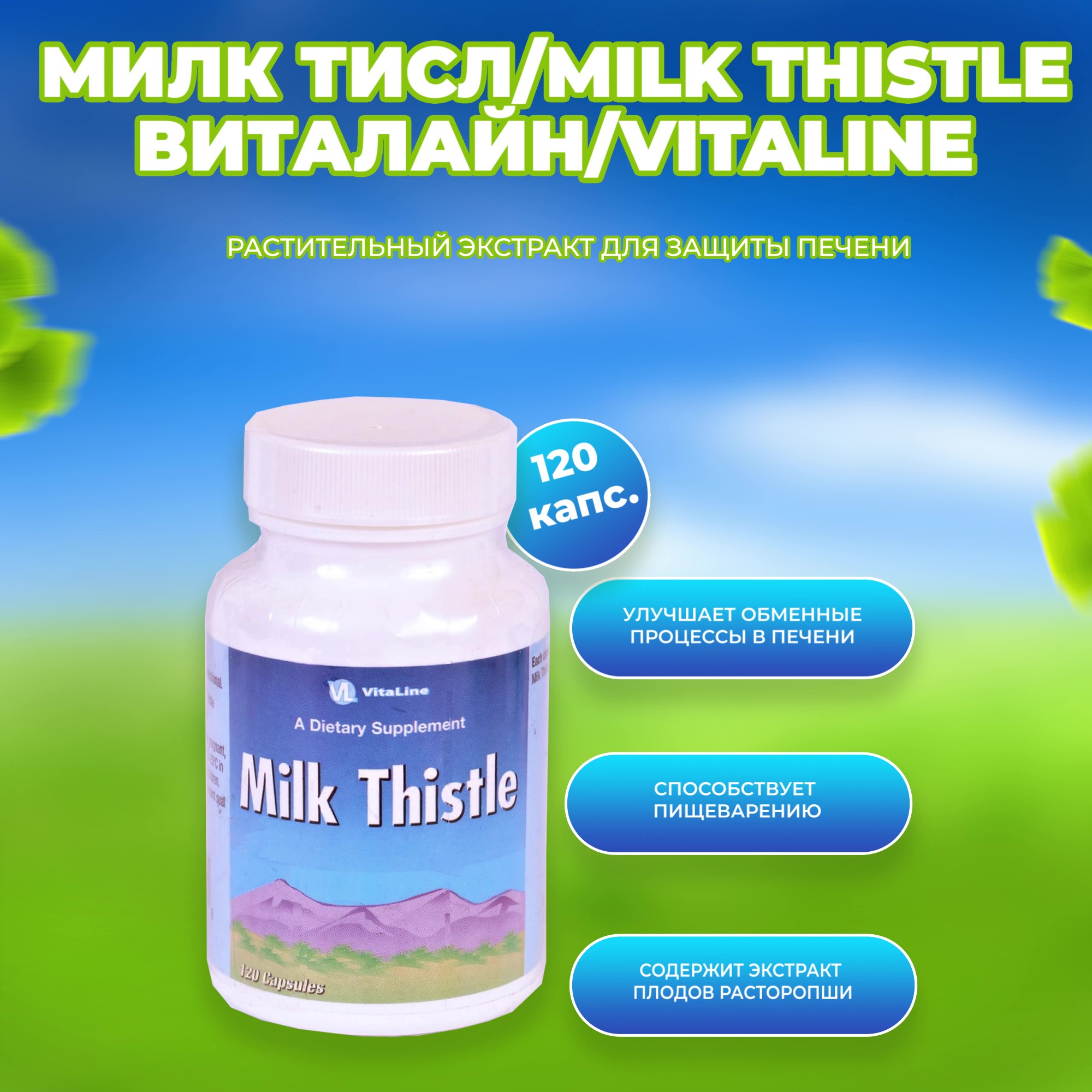 Милк тисл_Moment